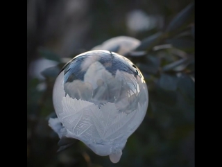 This soap bubble freezes in real time