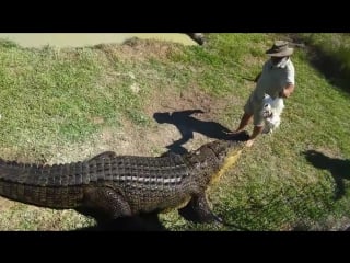 Crazy crocodile expert takes one on a ride