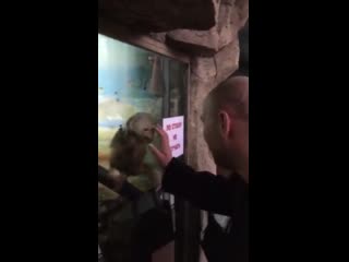 Бедная обезьянка 😂😂😊😊