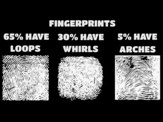 How special are your physical traits?