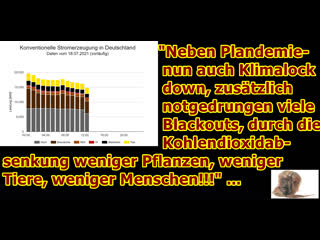 „blackouts und aufgrund co2 mangels noch weniger pflanzen, tiere und menschen!!!“