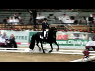 Marc peter spahn and cas (friesian)