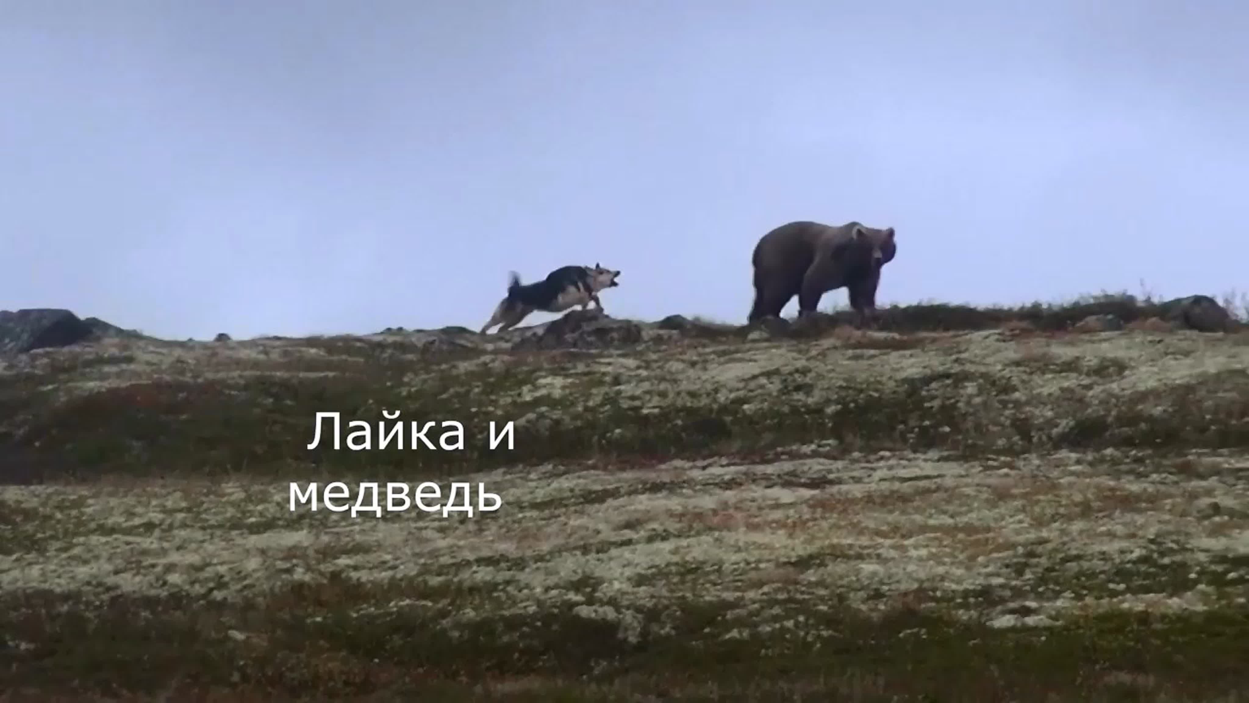 arhivach.org семейный нудизм (@@) семейный архив watch online