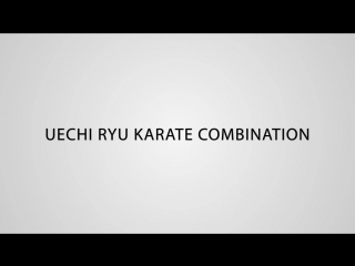 Uechi ryu karate combination 1