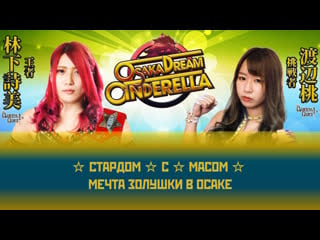 ☆ стардом ☆ с масом ☆ мечта золушки в осаке ☆ #14