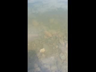 Vid 20190624 130737 mp4