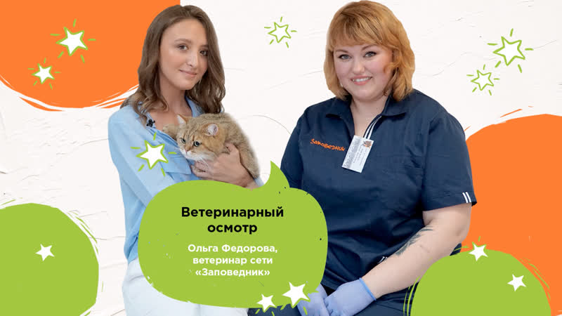 Ветеринарный осмотр в «заповеднике»