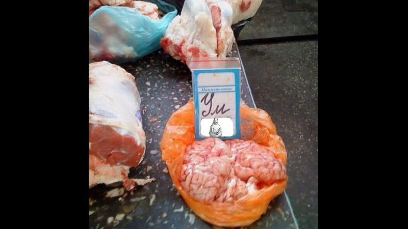 Депутаты рады проголосовали за то чтобы работать без мозгов