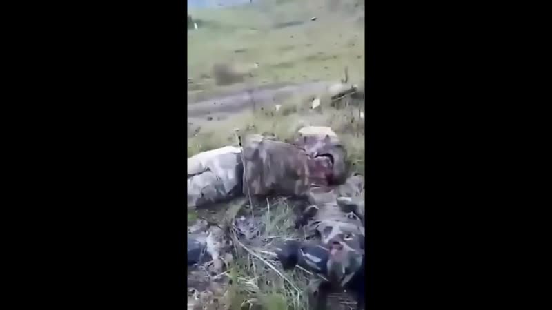 Թող սաղ հայ ազգը տենա, թե էս բոզի տղա տեռորիստներին ոնց ենք ոչնչացնում բացառիկ տեսանյութ