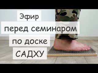 Светлана лоскутова и доска садху запись эфира