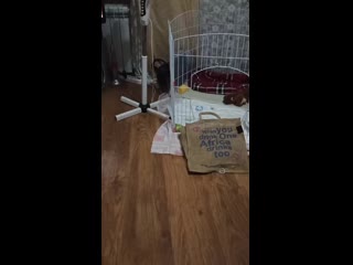 Vid 20200812 222123 mp4