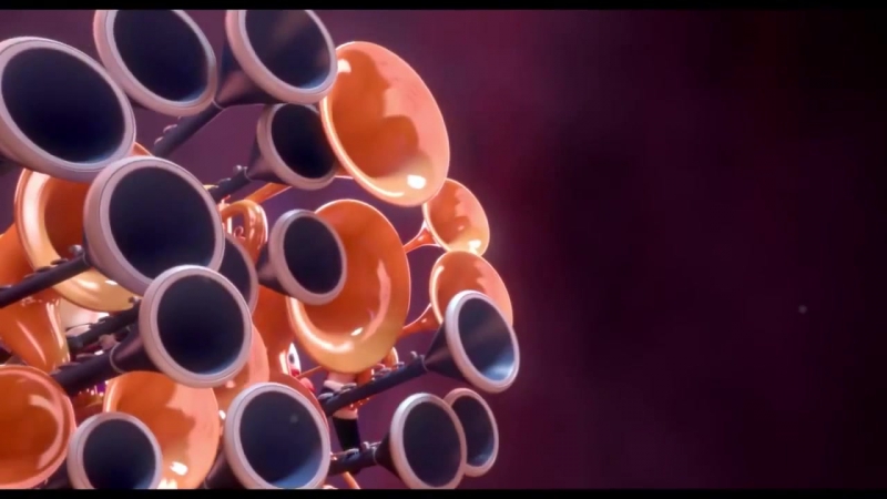 Cgi 3d animated short hd what the fly! by esma