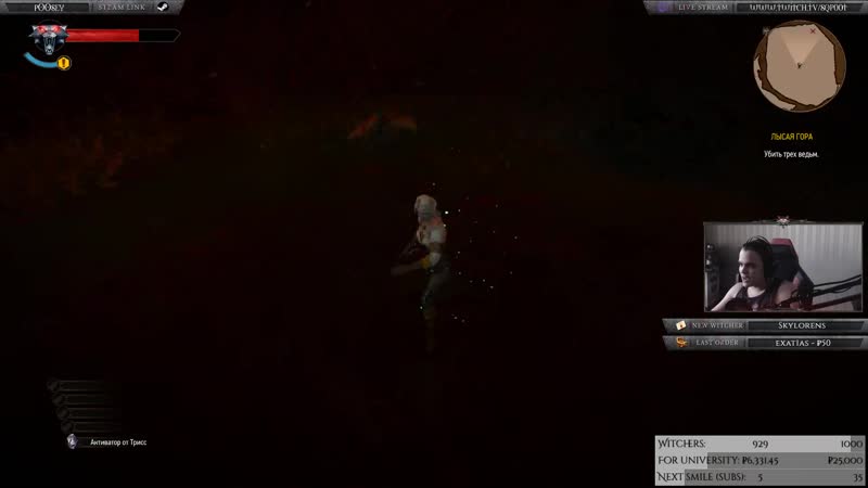 [hl|the witcher 3] разваливаем кабины хозяйкам!!!