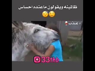 Видео от عمار عمار