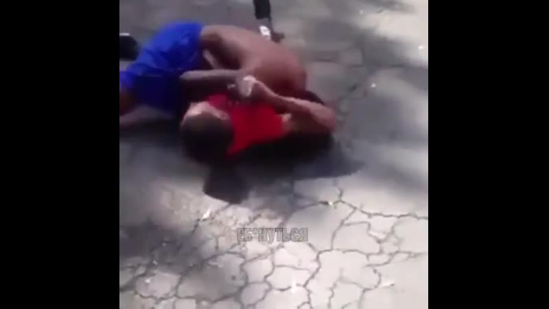 Естественный отбор