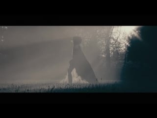 Blumarine dange rose