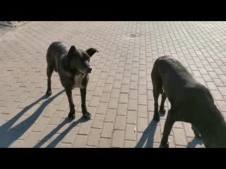 Видео от сонечки милашки