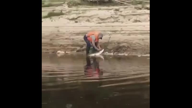 Щука, хорошая, зачётная еcли зачёт ставь ❤️❤️❤️