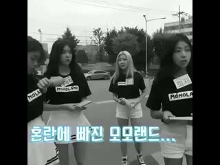 Retweet if you appreciate momoland’s harwork just to debut, ignore if you’re