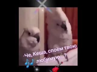 Споем любимую