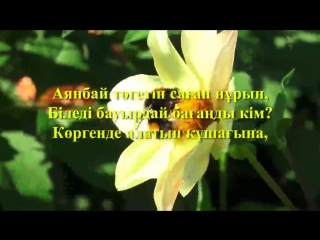 Video by dulat satbaev