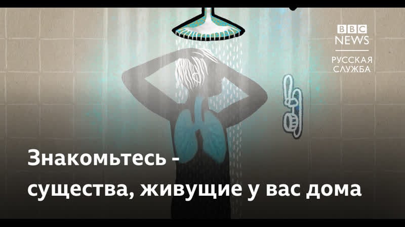 Бактерии, живущие среди нас