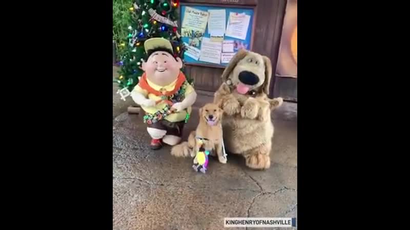 Wоrld's biggеst fan finally gеts tо mееt his hеrоеs