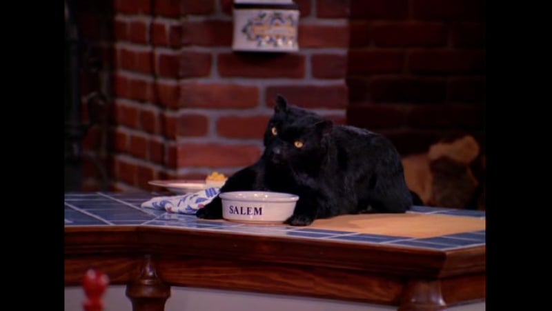 Salem saberhagen 2017 сэйлем сэйберхеген сэлем салем