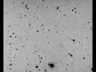 (3752) camillo = 1985 pa z80 +13,3m