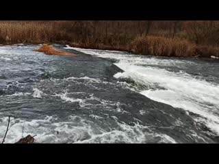 Видео от аллы сайко