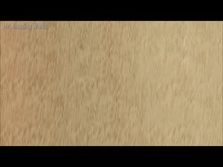 Unique idea unique tool your best garden tool invention mp4