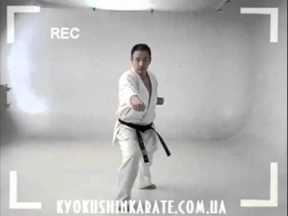 Seipai kata kyokushin karate