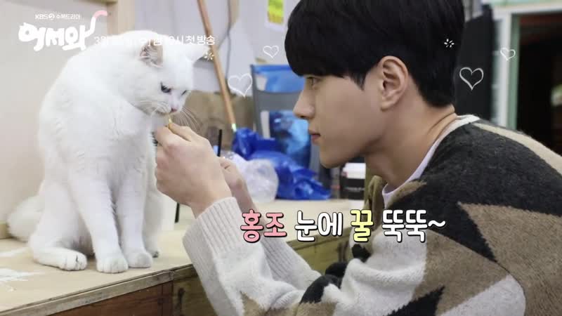 Видео со съемок постера дорамы мяу, таинственный парень