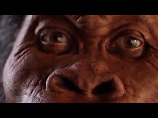 10 вымерших молодые, которых воскресят в скором времени