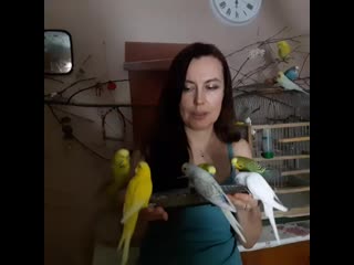 Trim 20201110 133533 mp4