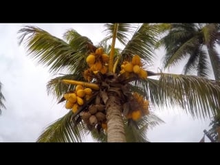 Mexico 2017 from cancun to rio lagartos