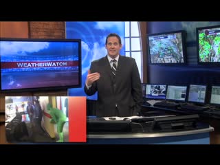 Weatherman gets pranked on april fool's