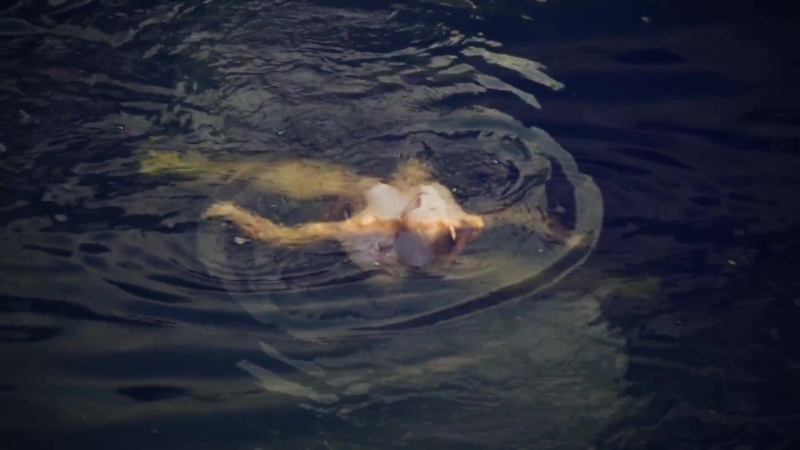 Rebekah underhill nude lady midsummer (2016) hd 1080p