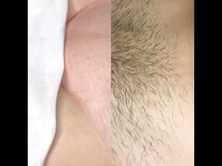 Shugar feya 20200927 223707 1 mp4