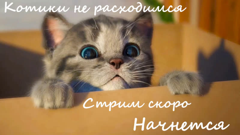 Drops лючены / drops turn on / 130ping god / road 2 cybersport