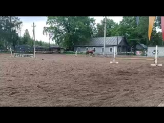 Моя жопонька