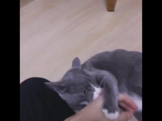 [ig] 170413 mooonk 발톱 안세워서 고마워