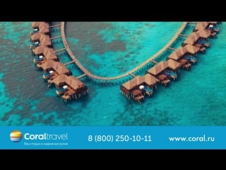 Coco bodu hithi 5* мальдивы