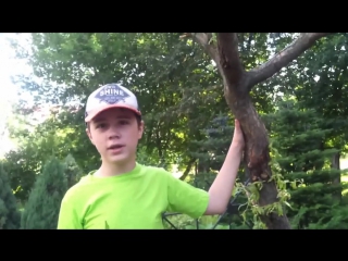 Ретроспектива на зш| владимирский централ