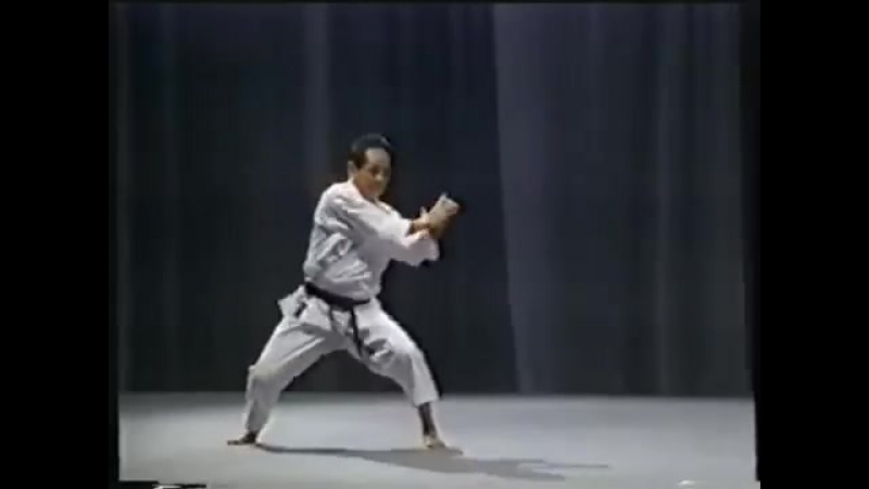 Karate tetsuhiko asai kihon and kata