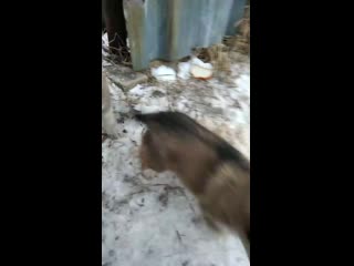 Vid 20201231 093112 mp4