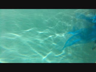 Студия немо