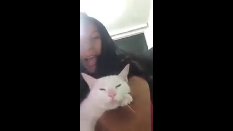 Котан на подпеах