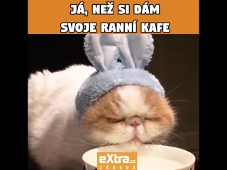 Ranní kafe