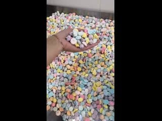 Sl mo vid 20190820 125447 mp4